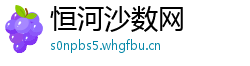恒河沙数网